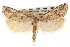  ( - CNCLEP00101645)  @11 [ ] CreativeCommons - Attribution (2013) CNC/CBG Photography Group Centre for Biodiversity Genomics