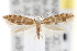 ( - CNCLEP00101851)  @14 [ ] CreativeCommons - Attribution (2013) CNC/CBG Photography Group Centre for Biodiversity Genomics