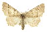  ( - CNCLEP00102503)  @14 [ ] CreativeCommons - Attribution (2013) CBG Photography Group Centre for Biodiversity Genomics