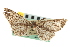  ( - CNCLEP00102537)  @11 [ ] CreativeCommons - Attribution (2013) CBG Photography Group Centre for Biodiversity Genomics
