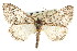  ( - CNCLEP00102547)  @14 [ ] CreativeCommons - Attribution (2013) CBG Photography Group Centre for Biodiversity Genomics