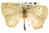  ( - CNCLEP00102669)  @13 [ ] CreativeCommons - Attribution (2013) CBG Photography Group Centre for Biodiversity Genomics