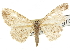  ( - CNCLEP00102711)  @13 [ ] CreativeCommons - Attribution (2013) CBG Photography Group Centre for Biodiversity Genomics