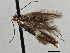  ( - CNCLEP00103089)  @12 [ ] CreativeCommons - Attribution (2013) CNC/CBG Photography Group Centre for Biodiversity Genomics