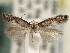  ( - CNCLEP00103097)  @11 [ ] CreativeCommons - Attribution (2013) CNC/CBG Photography Group Centre for Biodiversity Genomics