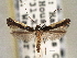  ( - CNCLEP00103111)  @11 [ ] CreativeCommons - Attribution (2013) CNC/CBG Photography Group Centre for Biodiversity Genomics