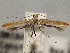  ( - CNCLEP00103113)  @11 [ ] CreativeCommons - Attribution (2013) CNC/CBG Photography Group Centre for Biodiversity Genomics