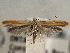  ( - CNCLEP00103114)  @11 [ ] CreativeCommons - Attribution (2013) CNC/CBG Photography Group Centre for Biodiversity Genomics
