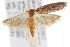  ( - CNCLEP00103179)  @13 [ ] CreativeCommons - Attribution (2013) CNC/CBG Photography Group Centre for Biodiversity Genomics