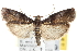  ( - CNCLEP00103189)  @11 [ ] CreativeCommons - Attribution (2013) CNC/CBG Photography Group Centre for Biodiversity Genomics