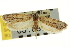  ( - CNCLEP00103939)  @11 [ ] CreativeCommons - Attribution (2013) CBG Photography Group Centre for Biodiversity Genomics