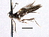  ( - CNCLEP00103998)  @11 [ ] CreativeCommons - Attribution (2013) CBG Photography Group Centre for Biodiversity Genomics