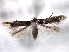  ( - CNCLEP00103999)  @11 [ ] CreativeCommons - Attribution (2013) CBG Photography Group Centre for Biodiversity Genomics