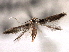  ( - CNCLEP00104000)  @11 [ ] CreativeCommons - Attribution (2013) CBG Photography Group Centre for Biodiversity Genomics