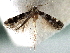  ( - CNCLEP00104014)  @11 [ ] CreativeCommons - Attribution (2013) CBG Photography Group Centre for Biodiversity Genomics