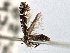  ( - CNCLEP00104024)  @11 [ ] CreativeCommons - Attribution (2013) CBG Photography Group Centre for Biodiversity Genomics