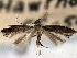  ( - CNCLEP00104030)  @11 [ ] CreativeCommons - Attribution (2013) CBG Photography Group Centre for Biodiversity Genomics