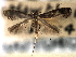  ( - CNCLEP00104031)  @11 [ ] CreativeCommons - Attribution (2013) CBG Photography Group Centre for Biodiversity Genomics
