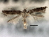  ( - CNCLEP00104032)  @11 [ ] CreativeCommons - Attribution (2013) CBG Photography Group Centre for Biodiversity Genomics