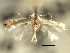  ( - CNCLEP00104171)  @11 [ ] CreativeCommons - Attribution (2013) CBG Photography Group Centre for Biodiversity Genomics