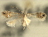  ( - CNCLEP00104172)  @11 [ ] CreativeCommons - Attribution (2013) CBG Photography Group Centre for Biodiversity Genomics