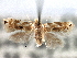  ( - CNCLEP00104249)  @11 [ ] CreativeCommons - Attribution (2013) CBG Photography Group Centre for Biodiversity Genomics