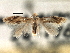  ( - CNCLEP00104261)  @11 [ ] CreativeCommons - Attribution (2013) CBG Photography Group Centre for Biodiversity Genomics