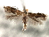  ( - CNCLEP00104269)  @11 [ ] CreativeCommons - Attribution (2013) CBG Photography Group Centre for Biodiversity Genomics