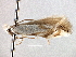  ( - CNCLEP00104277)  @11 [ ] CreativeCommons - Attribution (2013) CBG Photography Group Centre for Biodiversity Genomics