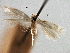  ( - CNCLEP00104278)  @11 [ ] CreativeCommons - Attribution (2013) CBG Photography Group Centre for Biodiversity Genomics