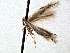  ( - CNCLEP00104279)  @11 [ ] CreativeCommons - Attribution (2013) CBG Photography Group Centre for Biodiversity Genomics