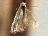  ( - CNCLEP00104281)  @11 [ ] CreativeCommons - Attribution (2013) CBG Photography Group Centre for Biodiversity Genomics