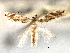  ( - CNCLEP00104292)  @11 [ ] CreativeCommons - Attribution (2013) CBG Photography Group Centre for Biodiversity Genomics