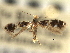  ( - CNCLEP00104306)  @11 [ ] CreativeCommons - Attribution (2013) CBG Photography Group Centre for Biodiversity Genomics