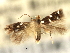  ( - CNCLEP00104309)  @11 [ ] CreativeCommons - Attribution (2013) CBG Photography Group Centre for Biodiversity Genomics