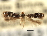  ( - CNCLEP00104310)  @11 [ ] CreativeCommons - Attribution (2013) CBG Photography Group Centre for Biodiversity Genomics