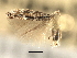  ( - CNCLEP00104318)  @11 [ ] CreativeCommons - Attribution (2013) CBG Photography Group Centre for Biodiversity Genomics