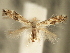  ( - CNCLEP00104323)  @11 [ ] CreativeCommons - Attribution (2013) CBG Photography Group Centre for Biodiversity Genomics