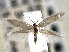  ( - CNCLEP00104597)  @11 [ ] CreativeCommons - Attribution (2013) CBG Photography Group Centre for Biodiversity Genomics