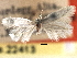  ( - CNCLEP00104623)  @11 [ ] CreativeCommons - Attribution (2013) CBG Photography Group Centre for Biodiversity Genomics