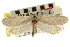  ( - CNCLEP00104713)  @11 [ ] CreativeCommons - Attribution (2013) CBG Photography Group Centre for Biodiversity Genomics