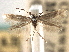  ( - CNCLEP00104751)  @11 [ ] CreativeCommons - Attribution (2013) CBG Photography Group Centre for Biodiversity Genomics