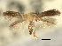  ( - CNCLEP00104767)  @11 [ ] CreativeCommons - Attribution (2013) CBG Photography Group Centre for Biodiversity Genomics
