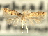  ( - CNCLEP00104867)  @11 [ ] CreativeCommons - Attribution (2013) CBG Photography Group Centre for Biodiversity Genomics