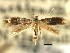 ( - CNCLEP00104878)  @11 [ ] CreativeCommons - Attribution (2013) CBG Photography Group Centre for Biodiversity Genomics