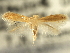  ( - CNCLEP00104885)  @11 [ ] CreativeCommons - Attribution (2013) CBG Photography Group Centre for Biodiversity Genomics