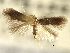  ( - CNCLEP00104888)  @11 [ ] CreativeCommons - Attribution (2013) CBG Photography Group Centre for Biodiversity Genomics