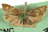 ( - CNCLEP00105119)  @11 [ ] CreativeCommons - Attribution (2013) CBG Photography Group Centre for Biodiversity Genomics
