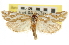  ( - CNCLEP00105224)  @14 [ ] CreativeCommons - Attribution (2012) CBG Photography Group Centre for Biodiversity Genomics