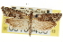  ( - CNCLEP00105450)  @11 [ ] CreativeCommons - Attribution (2013) CBG Photography Group Centre for Biodiversity Genomics